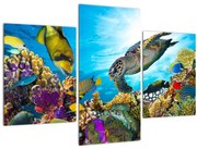 Tablou - Recif de corali (90x60 cm)