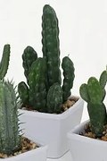 ​Cactus artificial 14 cm