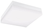 Plafonieră LED pentru baie LED/18W/230V 3000/4000/6000K 28x28 cm IP44