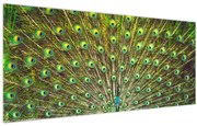 Tablou - Peacock (120x50 cm)