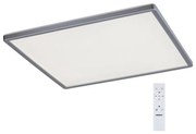 Rabalux 2291 - Plafonieră LED RGB dimabilă RASMUS LED/22W/230V + telecomandă
