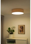 Duolla - Plafonieră LED CORTINA 26W 230V pr. 30 cm 4000K bejliu