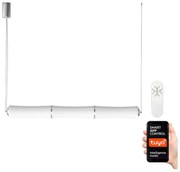 Lustră LED pe cablu dimabilă BAMBOOS LED/45W/230V 135 cm Immax NEO 07103L