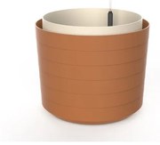 Plastia Plantă de volum mare cu auto-apărareBerberis 55, teracotă + fildeș