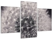 Tablou cu păpădie (90x60 cm)