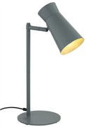 Lampa cu spot directionabil LORD 8872 salvie