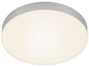 Plafonieră LED Briloner 7066-014 FLAME LED/21W/230V 3000K d. 28,7 cm