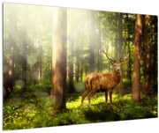 Tablou cu cerbul în pădure (90x60 cm)