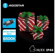 Decorațiune LED de Crăciun de exterior 3,6W/31/230V 6500K 20/25/30cm IP44 cadouri Aigostar