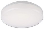 Top Light Leon K - Plafonieră LED exterior LED/15W/230V IP44