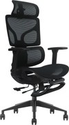 ERGO D-T5-BHL-01– Scaun Ergonomic Premium, Suport Lombar Dublu cu arc și reglaj al tensiunii, Cotiere 3D, Tetieră reglabilă, Șezut Glisant, Suport pentru picioare extensibil, Negru
