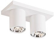 Plafonieră modernă cu spoturi albe cu 2 lumini - Tubo