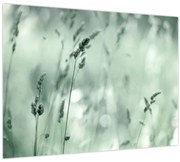 Tablou pe sticlă - Pajiște verde (70x50 cm)