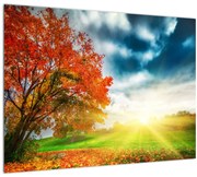 Tablou pe sticlă peisaj cu scufundat în razele solare (70x50 cm)