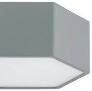 Plafonieră LED Argon 8784 LIBERO LED/12W/230V 3000K gri
