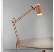 Orion GILI - Lampă de birou cu clemă, 1xE27/40W/230V, culoare cărămizie