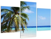 Tablou cu palmier pe plajă (90x60 cm)