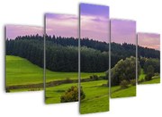 Tablou cu lunca (150x105 cm)