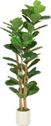 HOMCOM Plantă Artificială Ficus Lyrata 150 cm - Verde | Aosom Romania