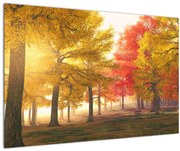 Tablou cu copaci toamna (90x60 cm)