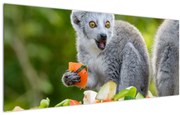 Tablou cu lemur (120x50 cm)
