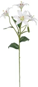 Lilie artificială albă, 60 cm