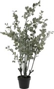 Planta decorativa artificiala eucalipt, in ghiveci negru, Fleur