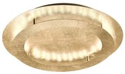 Plafonieră LED NEVIS LED/24W/230V Paul Neuhaus 9621-12