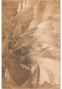 Covor lana Lotis Beige Selectează mărime: 080 X 150