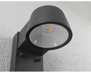 Aplică de exterior cu senzor Paulmann 94714 LED/6W IP44 CAPERA 230V