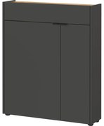 Dulap gri antracit 82x102x22 cm Ameca – Germania