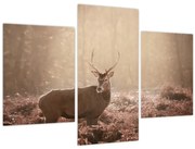 Tablou - Cerb în pădure (90x60 cm)