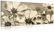 Tablou flori de grădină în design sepia