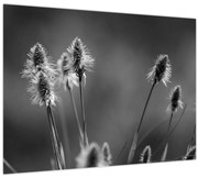 Tablou - Iarbă moale bej N⁰2 (70x50 cm)