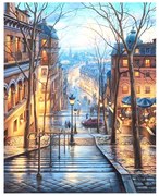 Pictura pe numere cu un cadru "Scara stradala" 50x40 cm