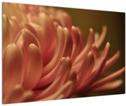 Tablou cu detailu florii (90x60 cm)