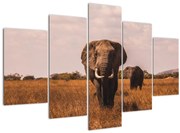 Tablou - Venirea elefantului (150x105 cm)