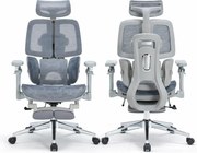 DeluxStar T10 Premium – Scaun ergonomic, cotiere 6D ultra moi, Suport Lombar 3 Zone Dinamice, Spătar ajustabil pe inaltime, Sezut Translatie, Tetiera 4D, mecanism multifunctional inclinare/blocare, pivotant, Mesh, Gri