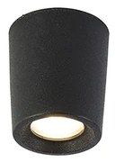 Spot modern de plafon negru, cu LED inclus, IP55 - Livia