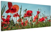 Tablou - Pe câmpul cu maci (120x50 cm)