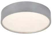 Plafoniera LED design modern Larcia IP44 argintiu, alb