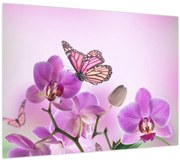 Tablou pe sticlă - Fluture pe flori de orhidee, liliac (70x50 cm)