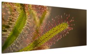 Tablou cu plantă (120x50 cm)