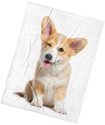 Pătură din microfibră BedTex Maiestatea sa Câinele, 150 x 200 cm