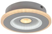 Rabalux 6959 - Plafonieră LED TANELI LED/20W/230V 3000/4000/6000K
