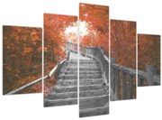 Tablou - Scări în natură, portocaliu (150x105 cm)