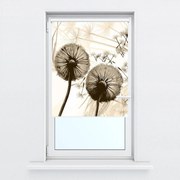 Fotojaluzele R014964R57150 (57x150 cm)