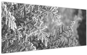Tablou - Pădure de molid (120x50 cm)