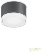 Aplica / Plafoniera de exterior stil modern minimalist URANO PL1 SMALL antracit 168111