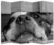 Paravan - Câine (210x170 cm)